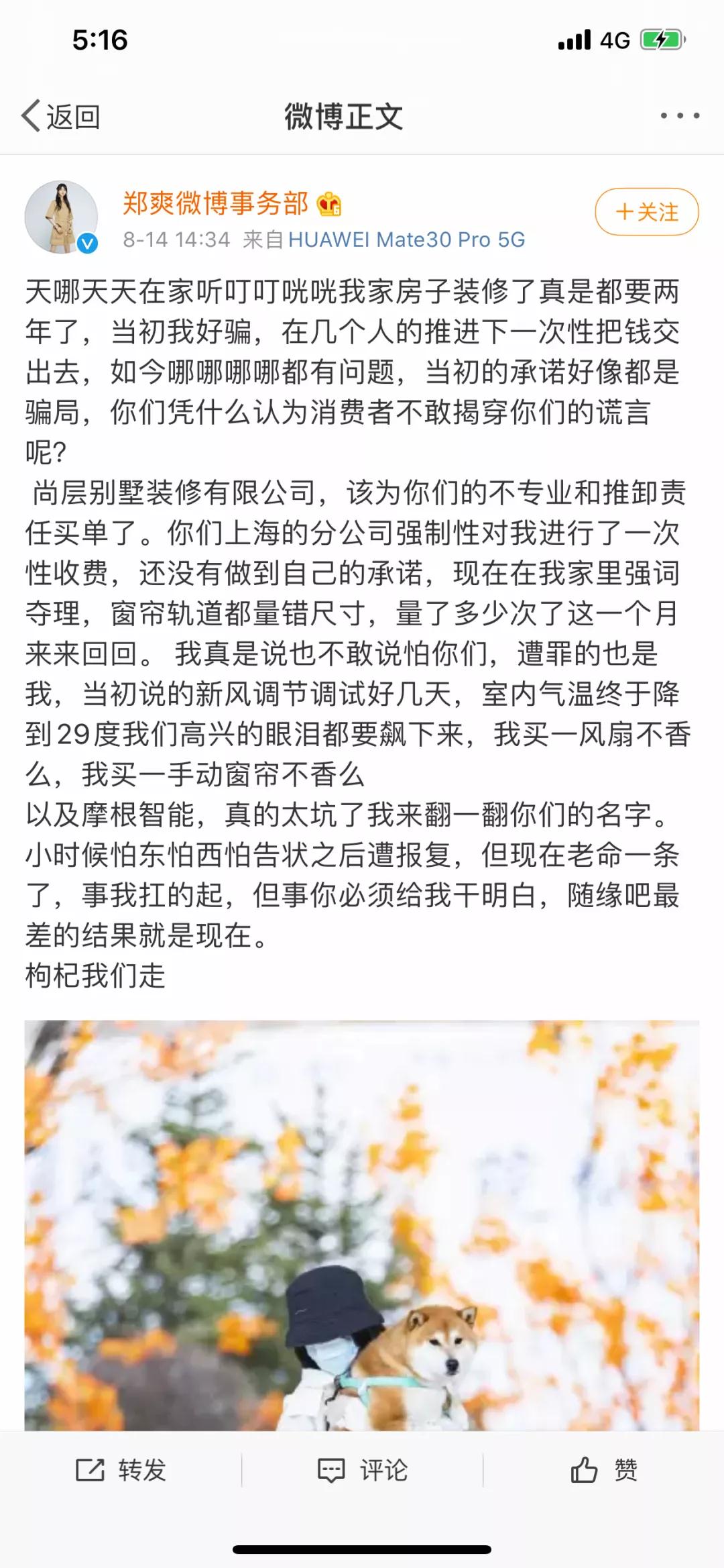 郑爽家装修